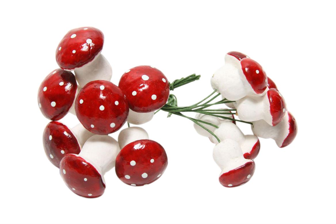 hobby mushroom 17pc assorted