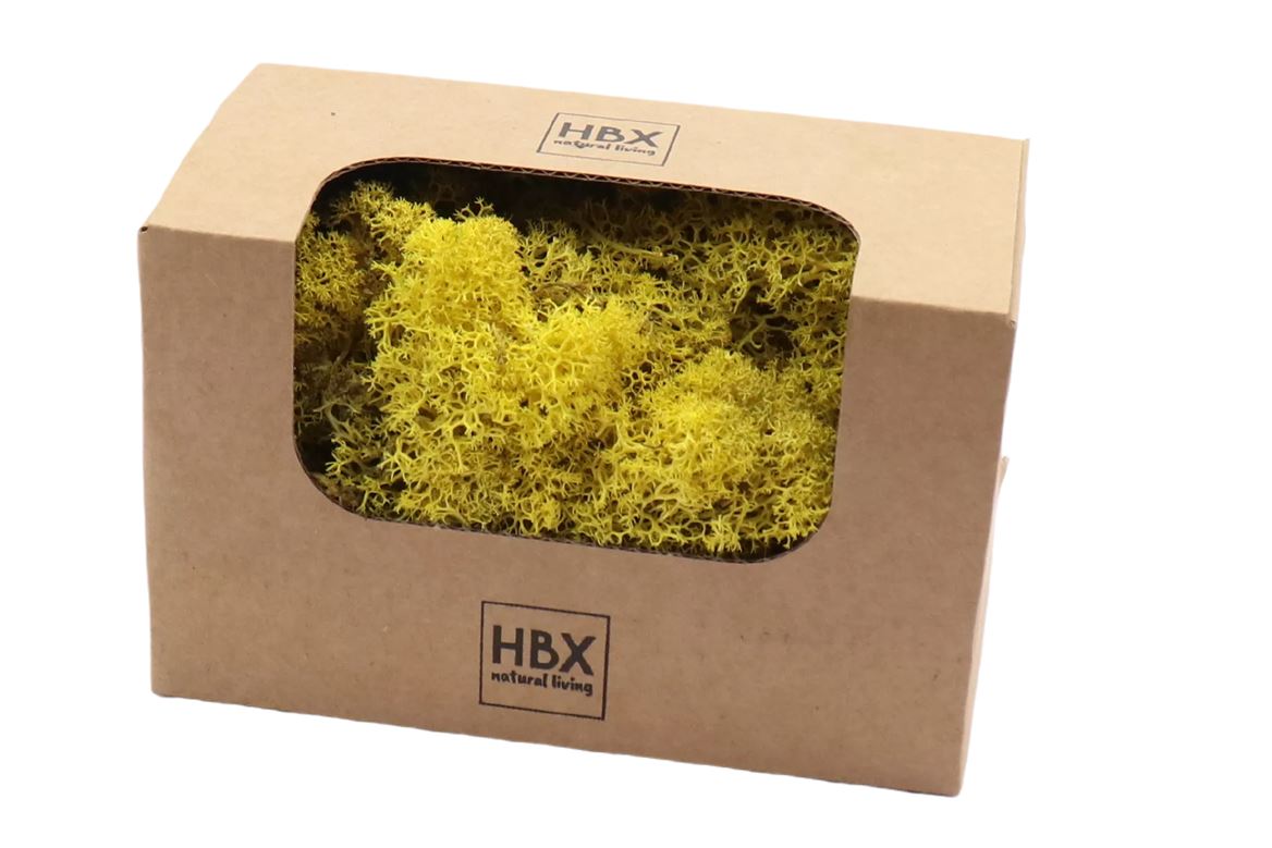 moss reindeer 50g yellow