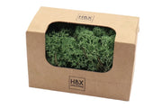 moss reindeer 50g moss green