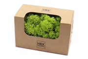 moss reindeer 50g may green
