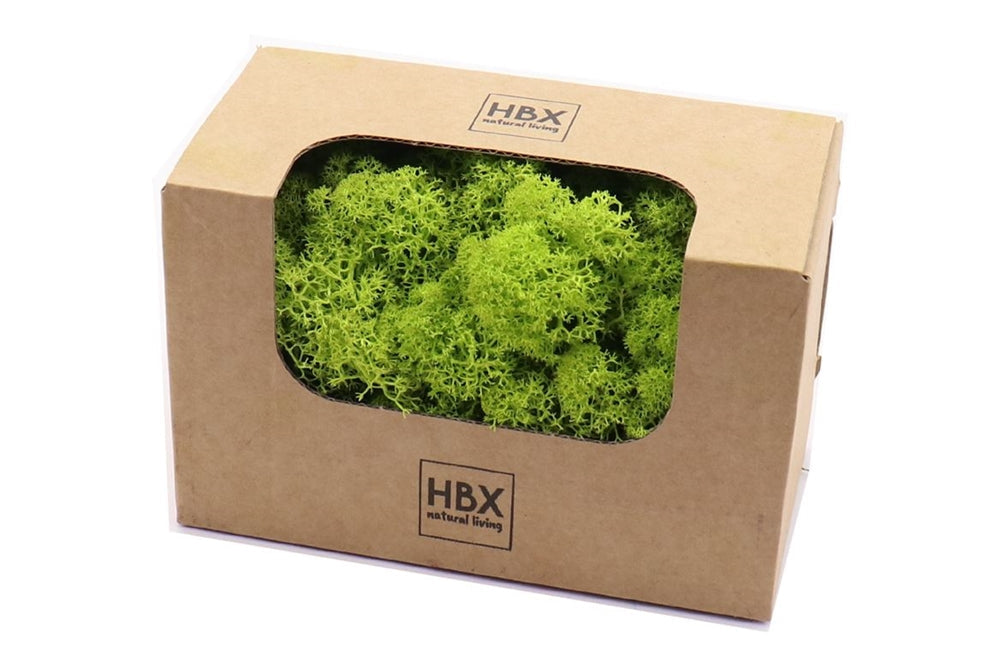 moss reindeer 50g may green