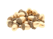 acorn 20pcs gold