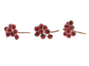 stem berrie 30pcs l7d1.3 red