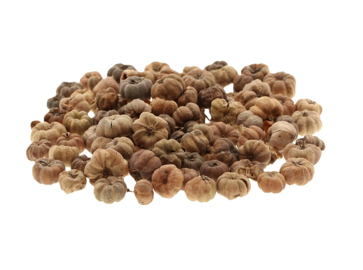 putka pods 20gr natural