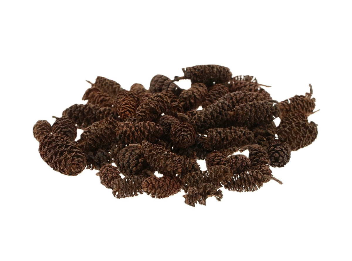pinecone birch 30gr natural
