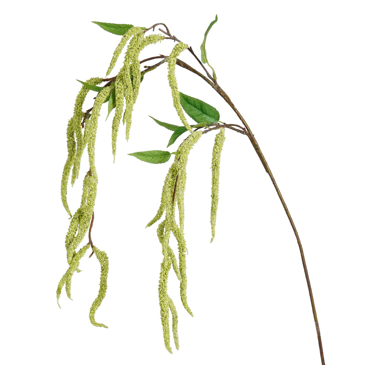 amaranthus groen - l94cm