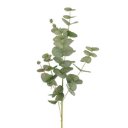 eucalyptus groen - l85cm