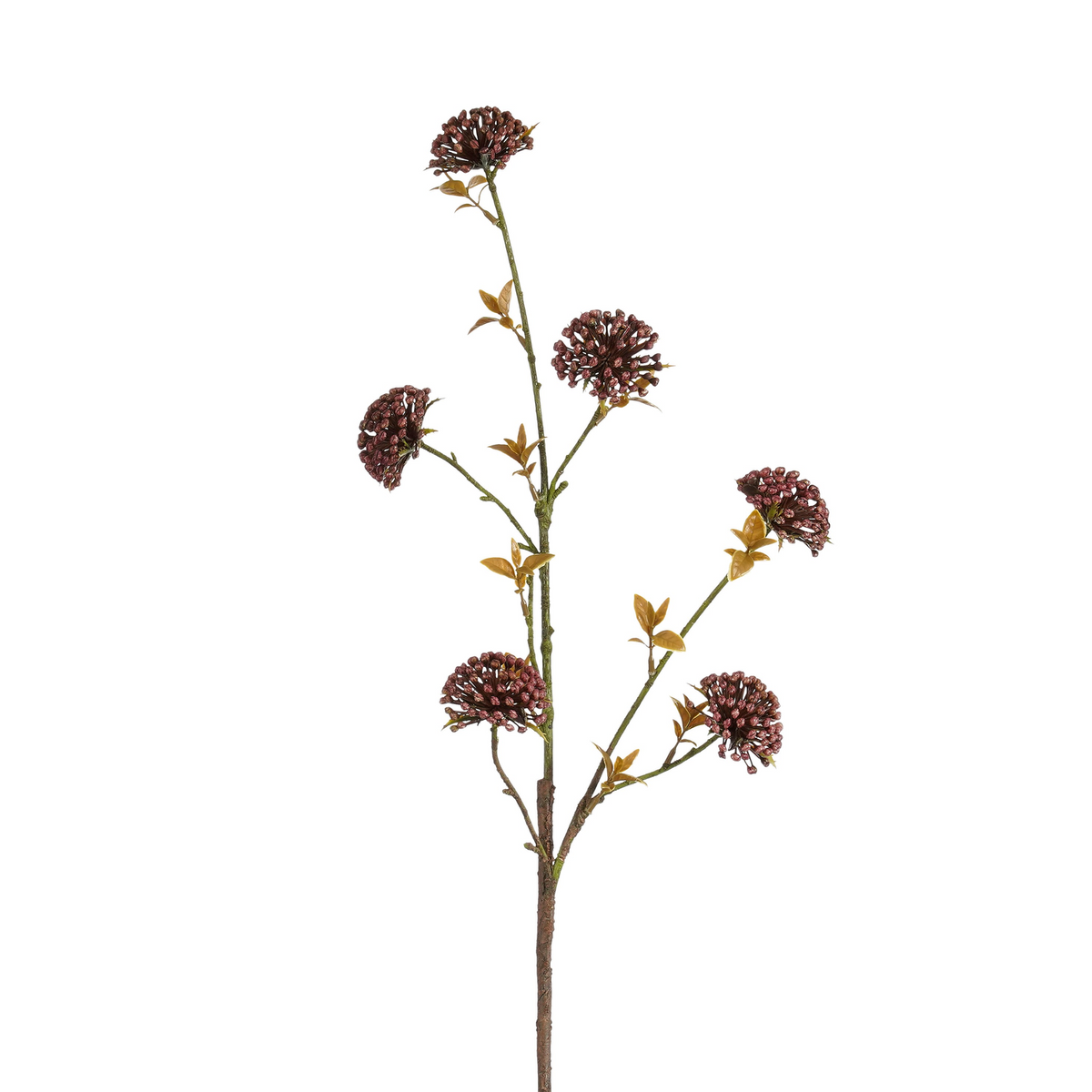 allium paars - l86cm