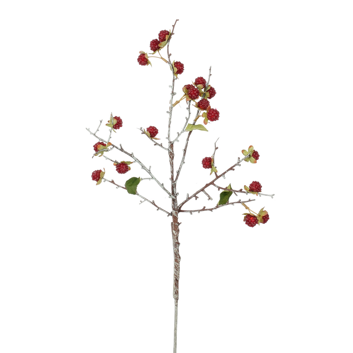rubus rood - l55cm