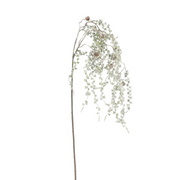 podocarpus tak groen frosted - l126cm