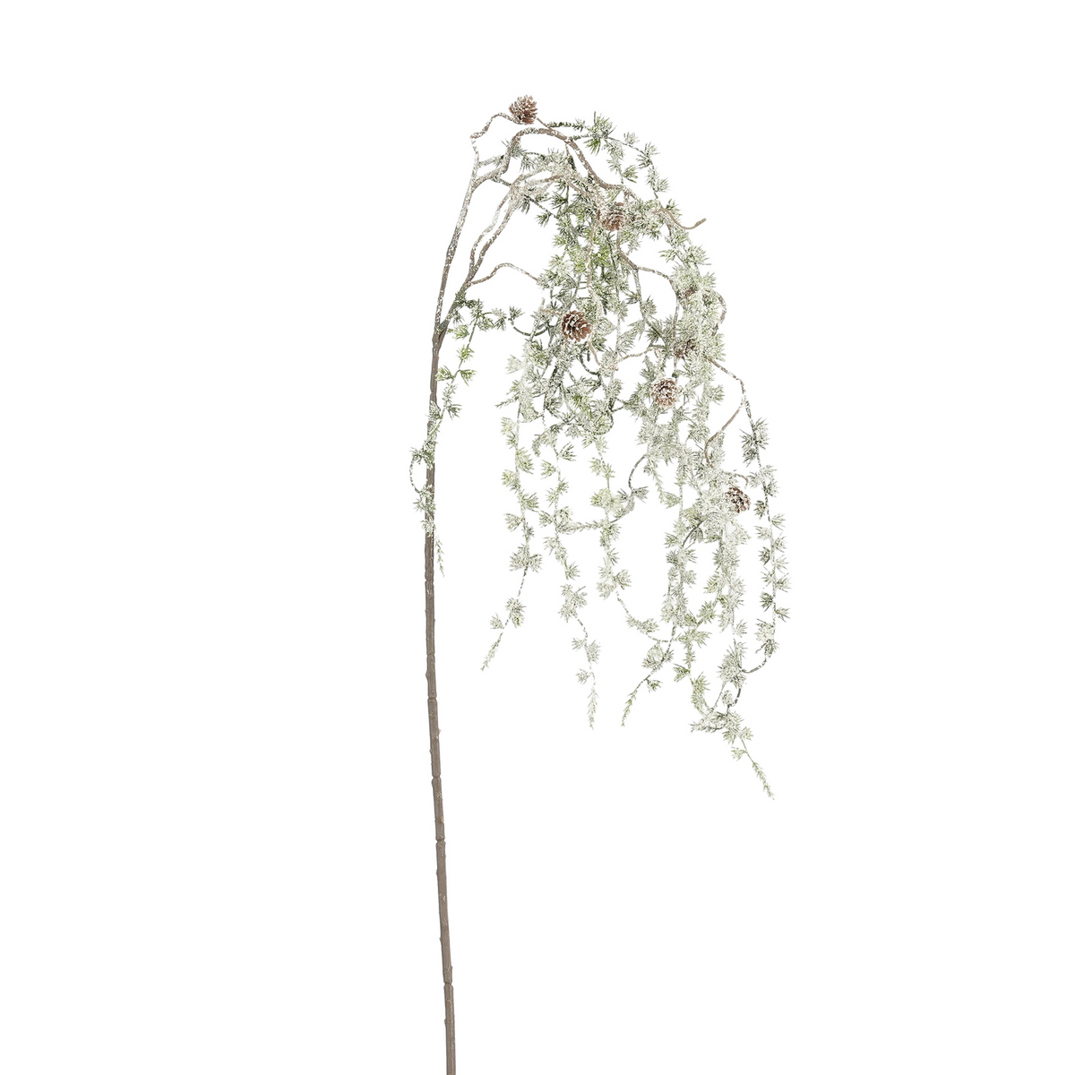 podocarpus tak groen frosted - l126cm
