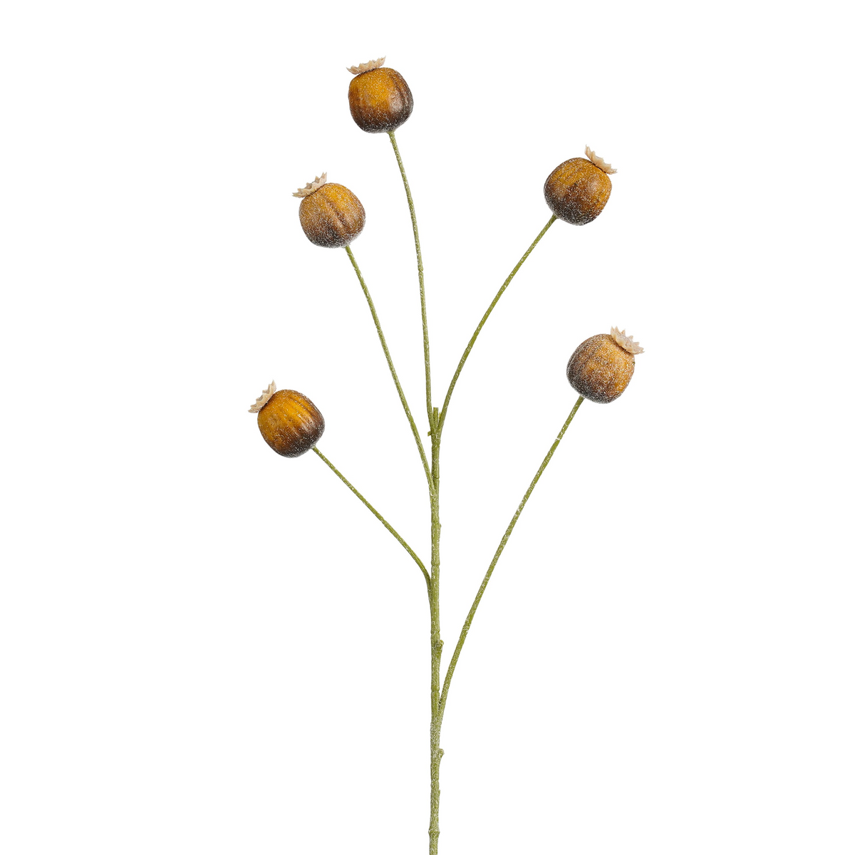 papaver tak bruin - l73cm