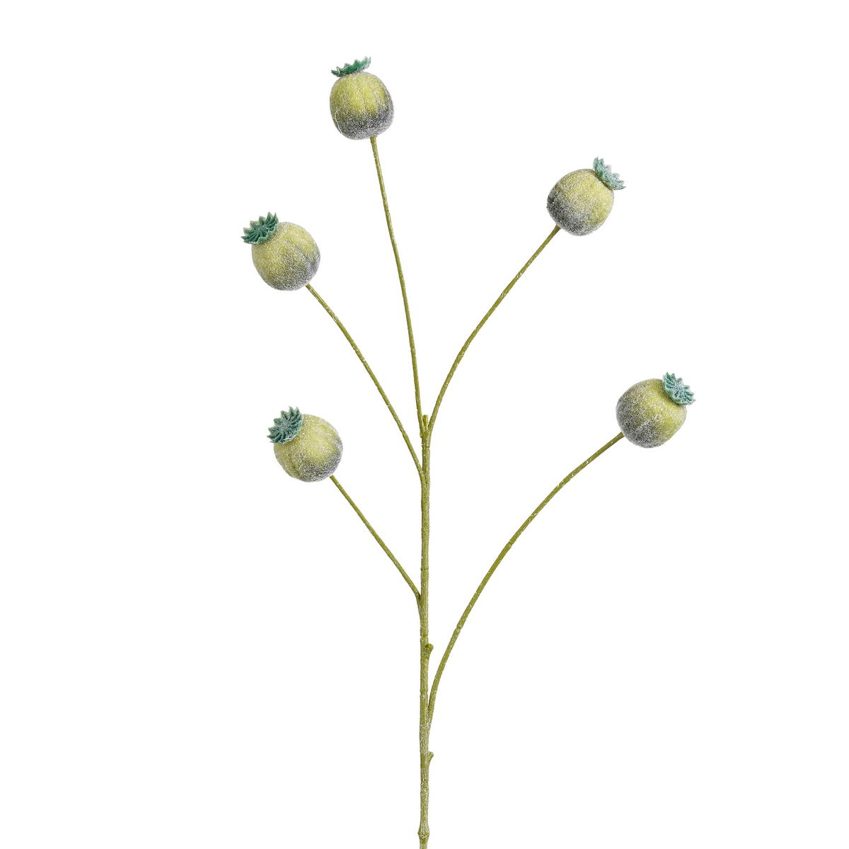 papaver tak groen - l73cm