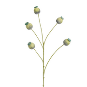papaver tak groen - l73cm