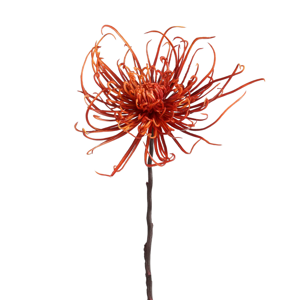 chrysant roest - l77cm