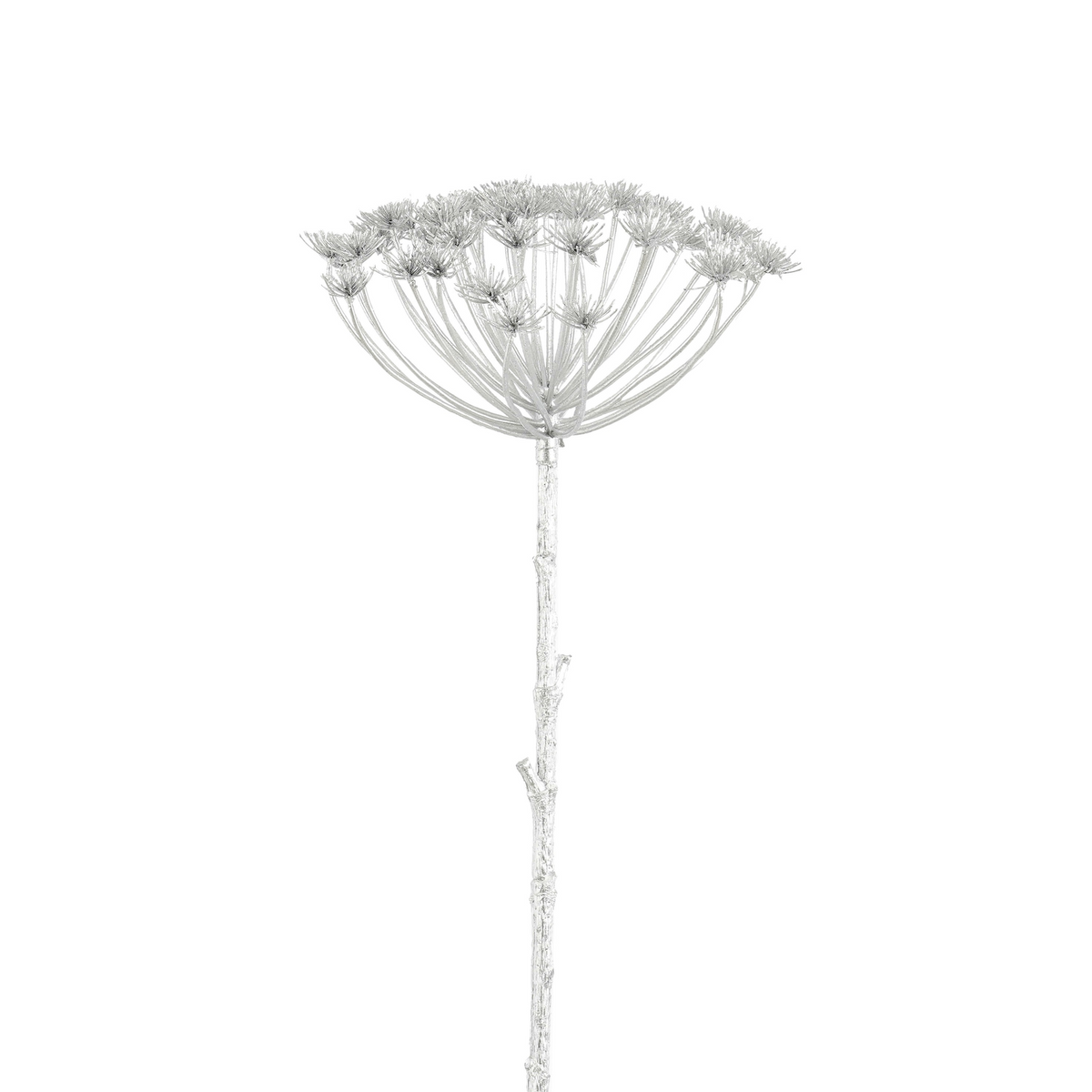 daucus carota zilver - l78cm