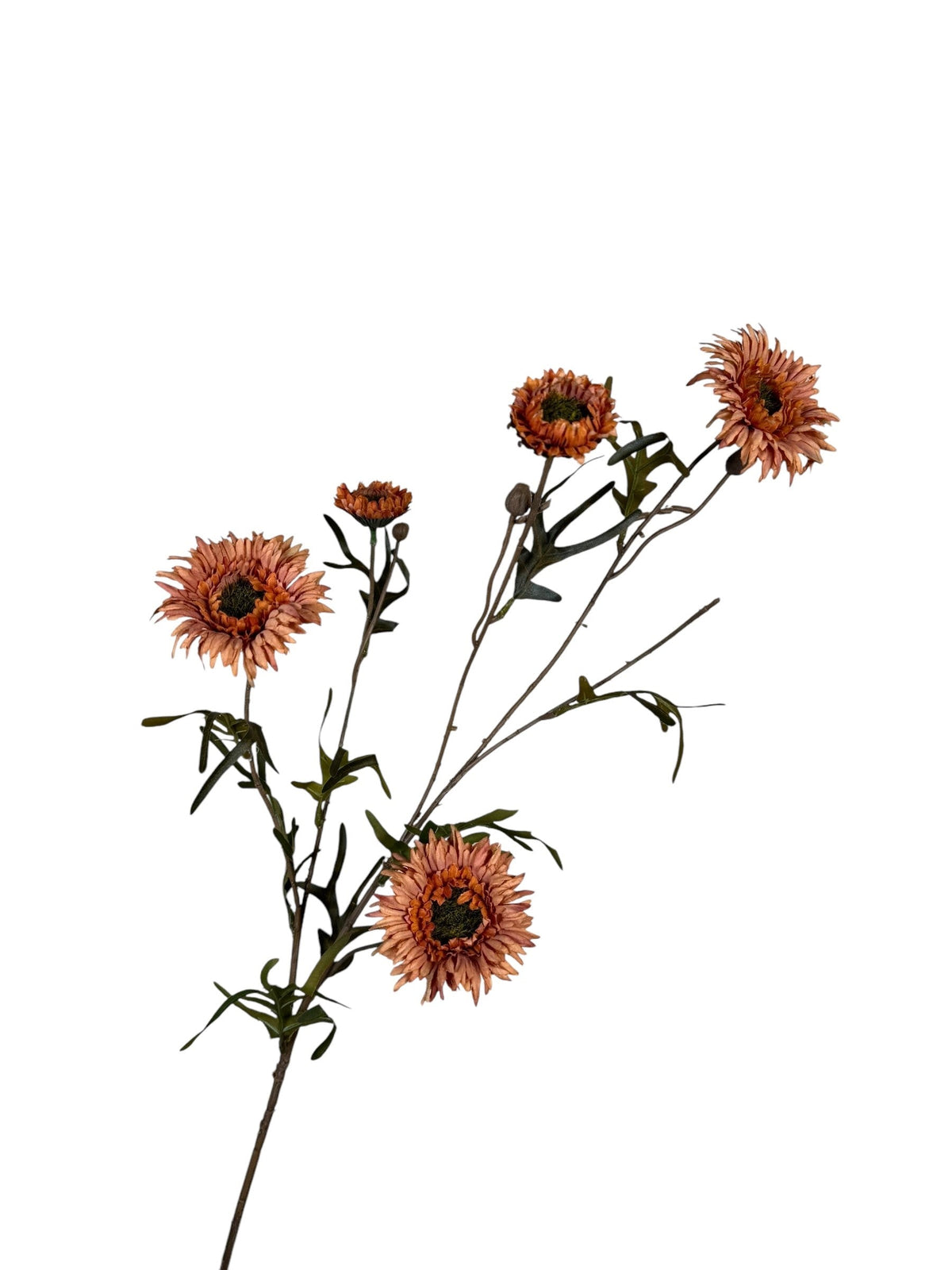daisy spray 80 cm orange
