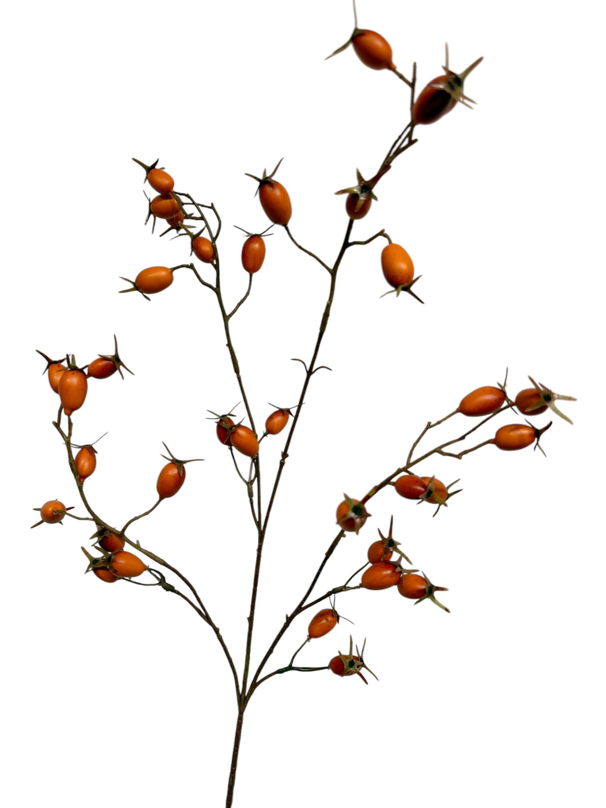 rose hip spray 76 cm dk coffee