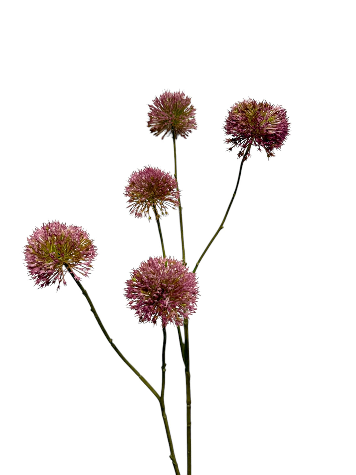 allium spray x 5 105 cm purple