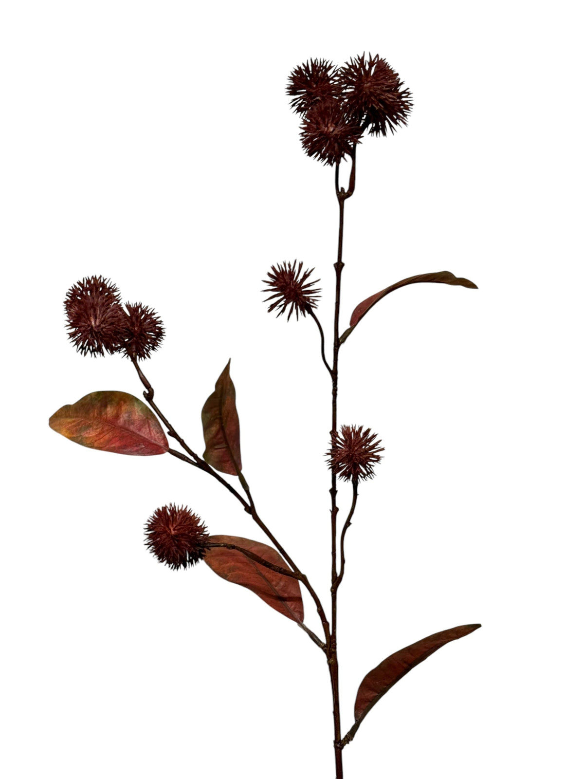 distel spray sm 61 cm burgundy
