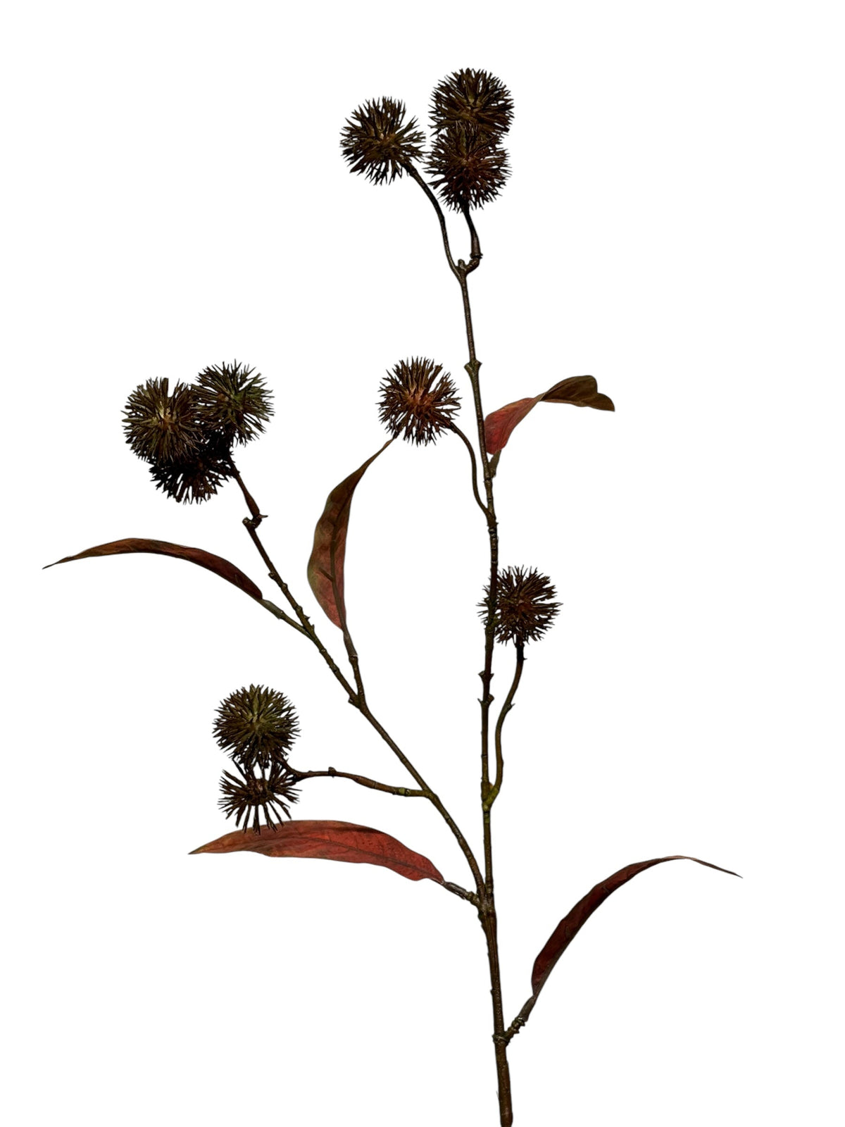 distel spray sm 61 cm green