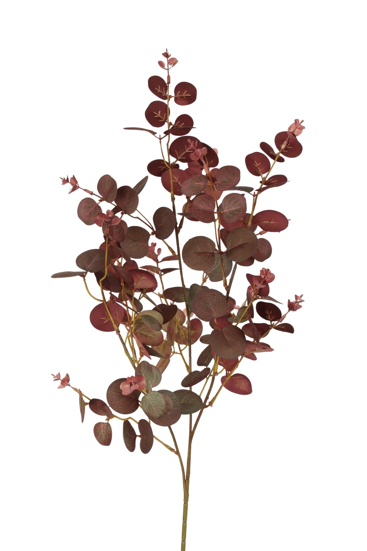 eucalyptus spray x 3 80 cm burgundy