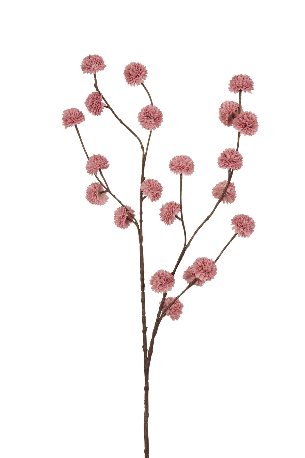 pompom spray sm 100 cm autumn old pink