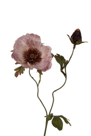 papaver x 1 w/1 bud 85 cm mosterd