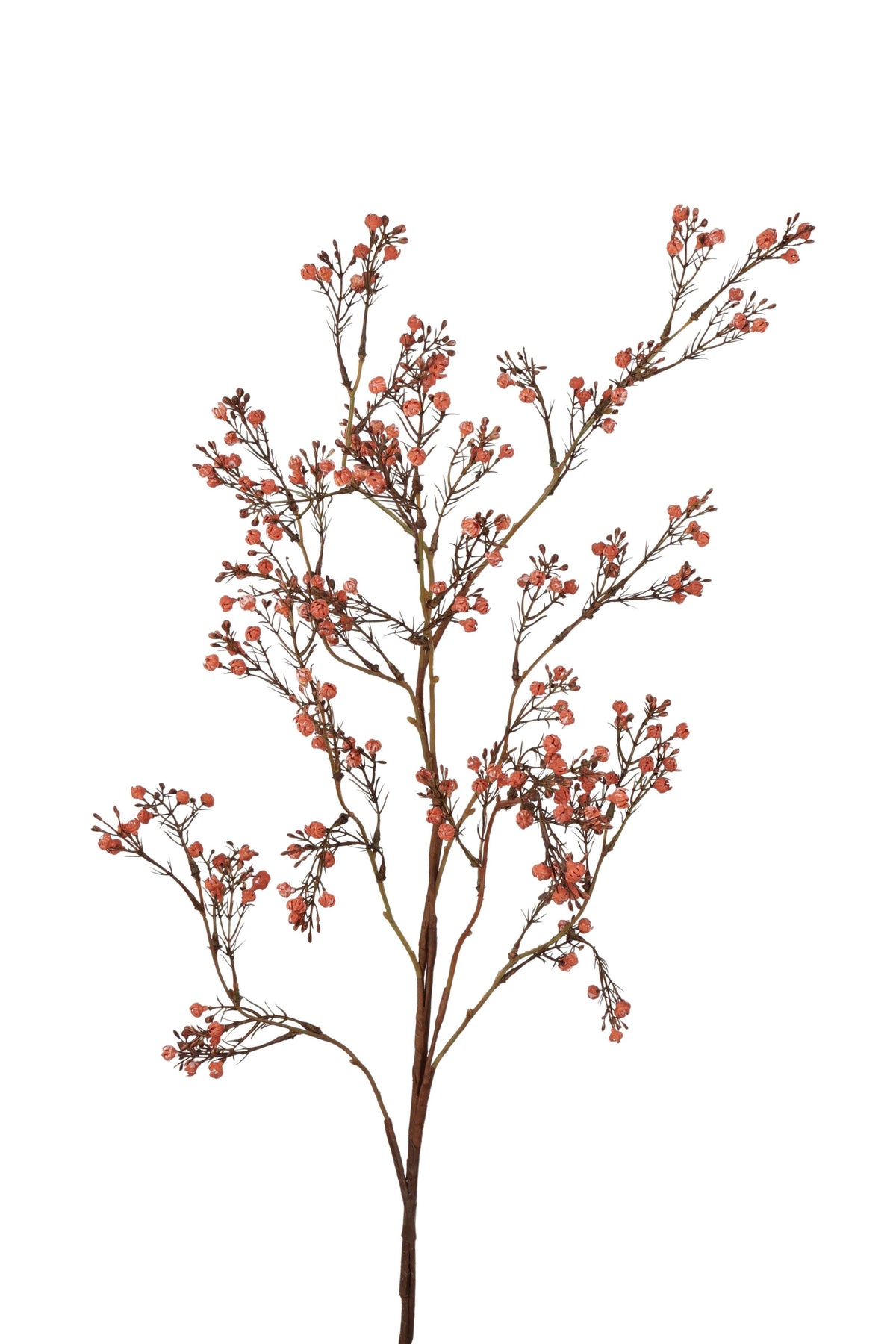 gips spray 95 cm autumn orange