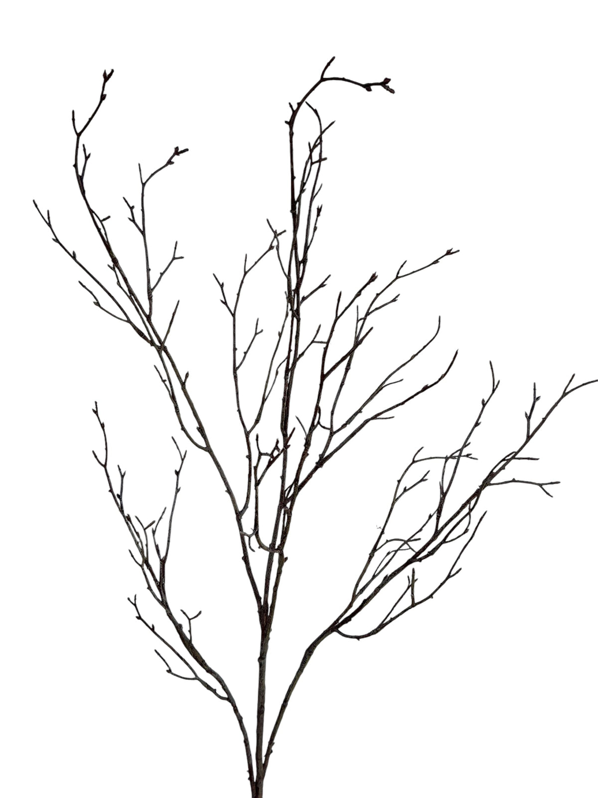 birch spray 90 cm natural