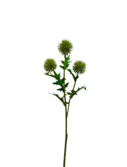 thistle spray sm 71 cm green