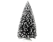 evergreen tree, extra large