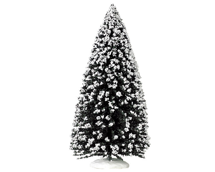 evergreen tree, extra large