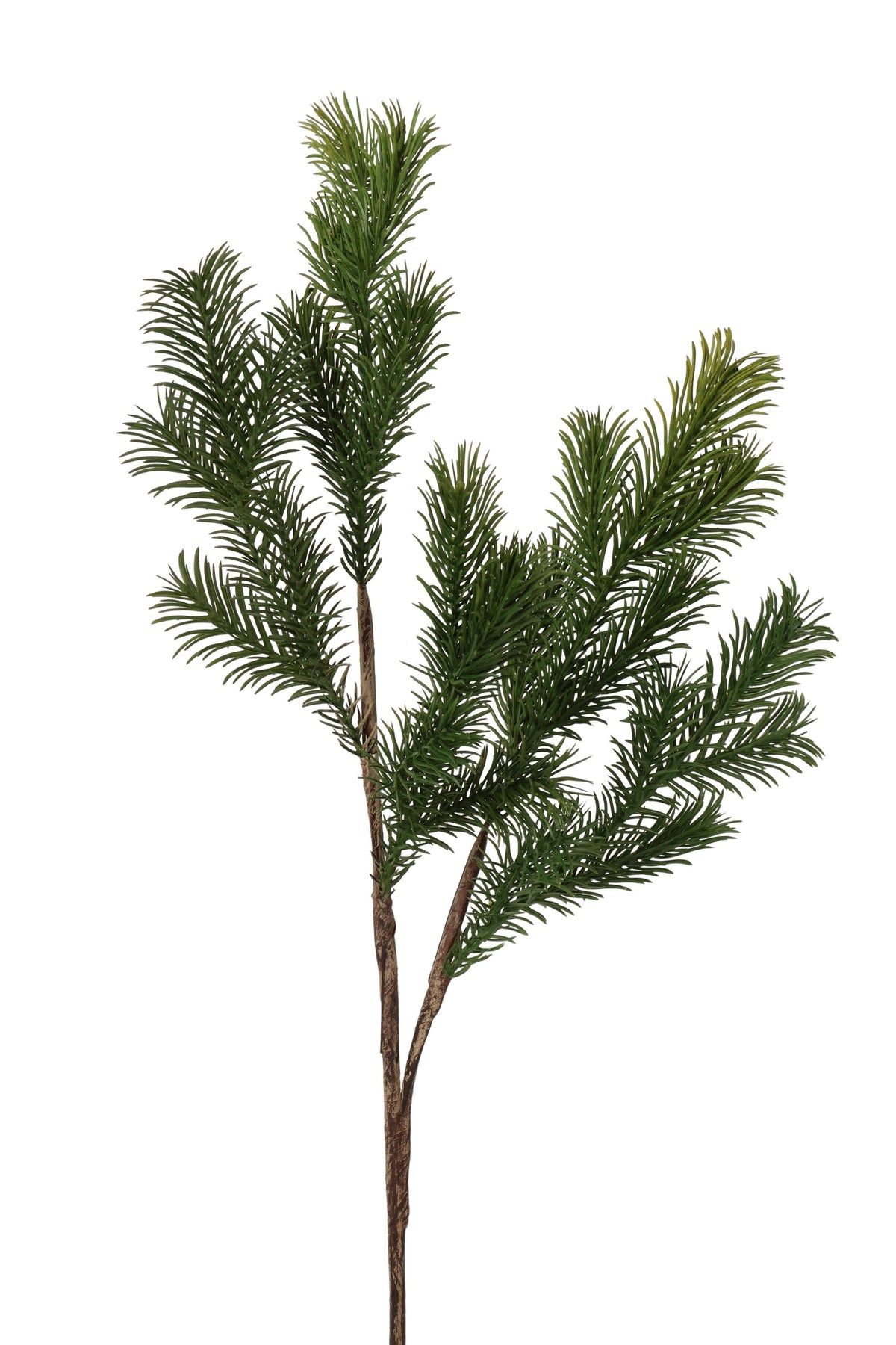 ceder spray 63cm green