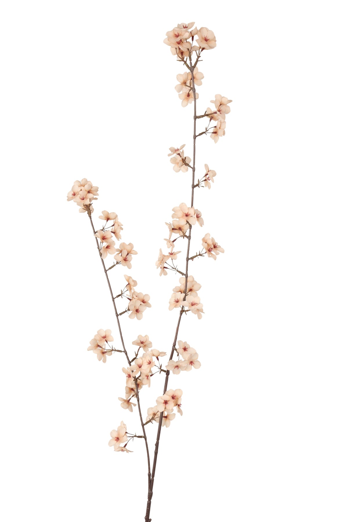 bloesem spray x 2 112 cm brown/creme