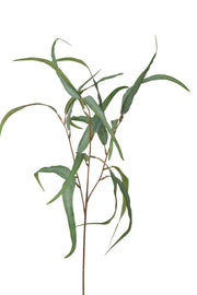 eucalyptus fijn 75 cm grijs