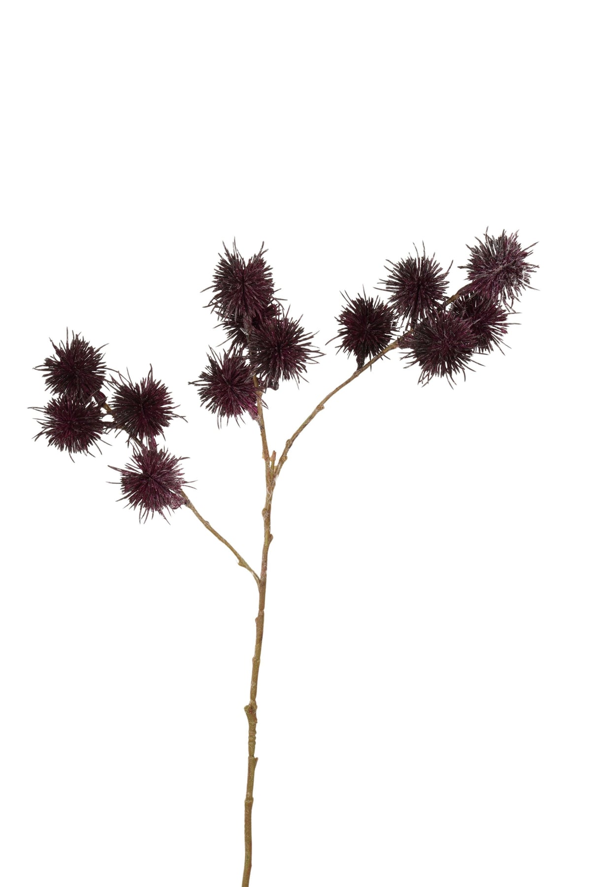 distel tak 68 cm dk paars