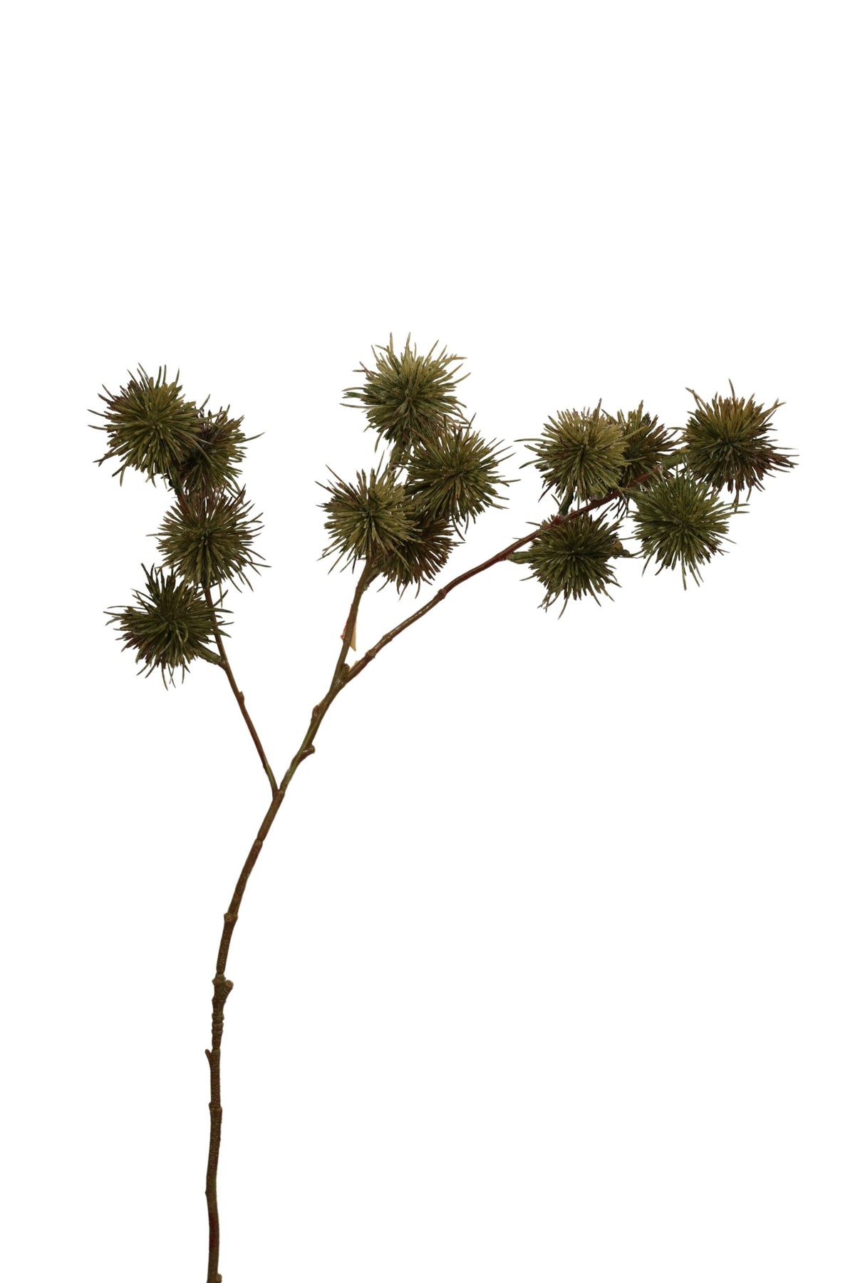 distel tak 68 cm groen