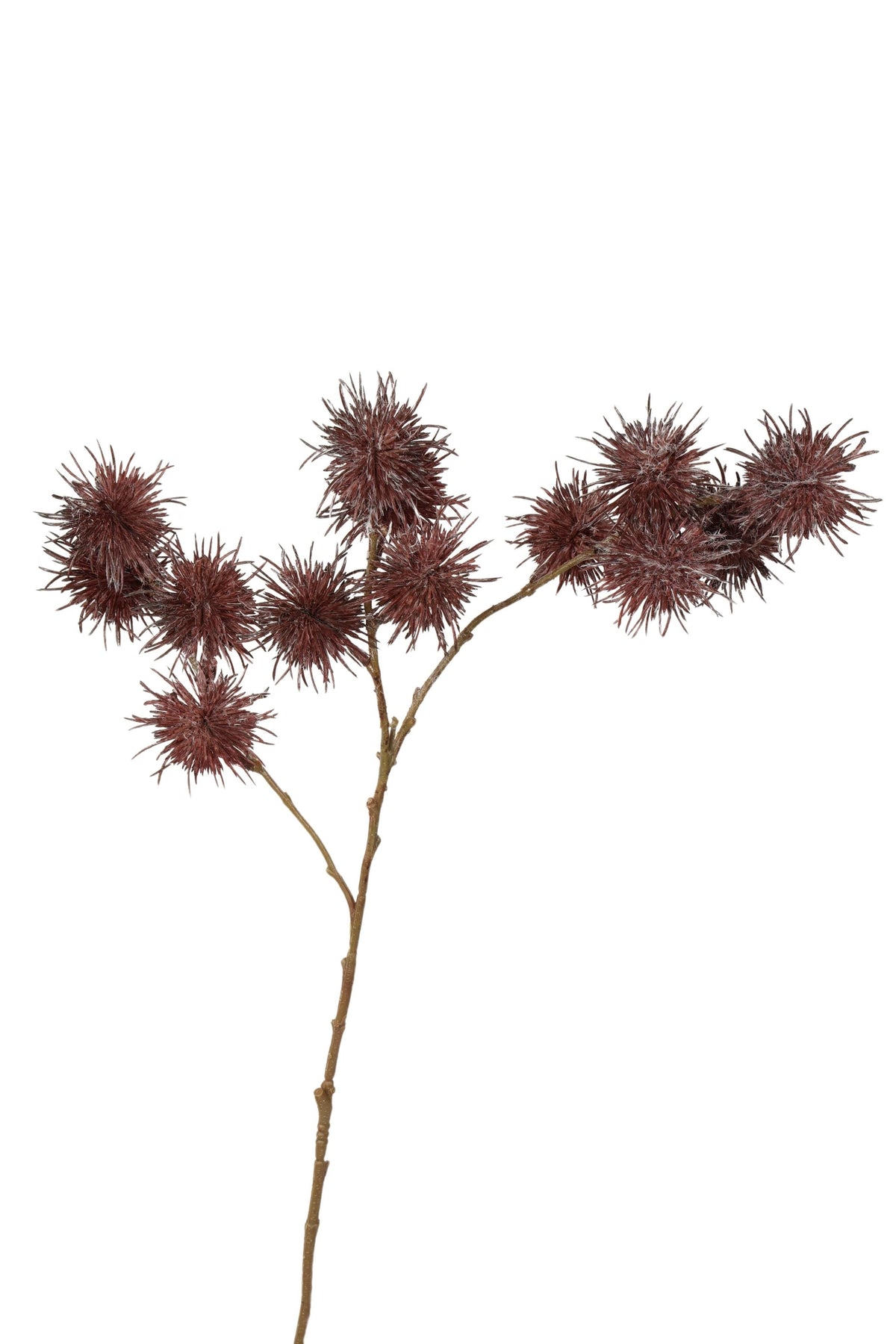 distel tak 68 cm bruin