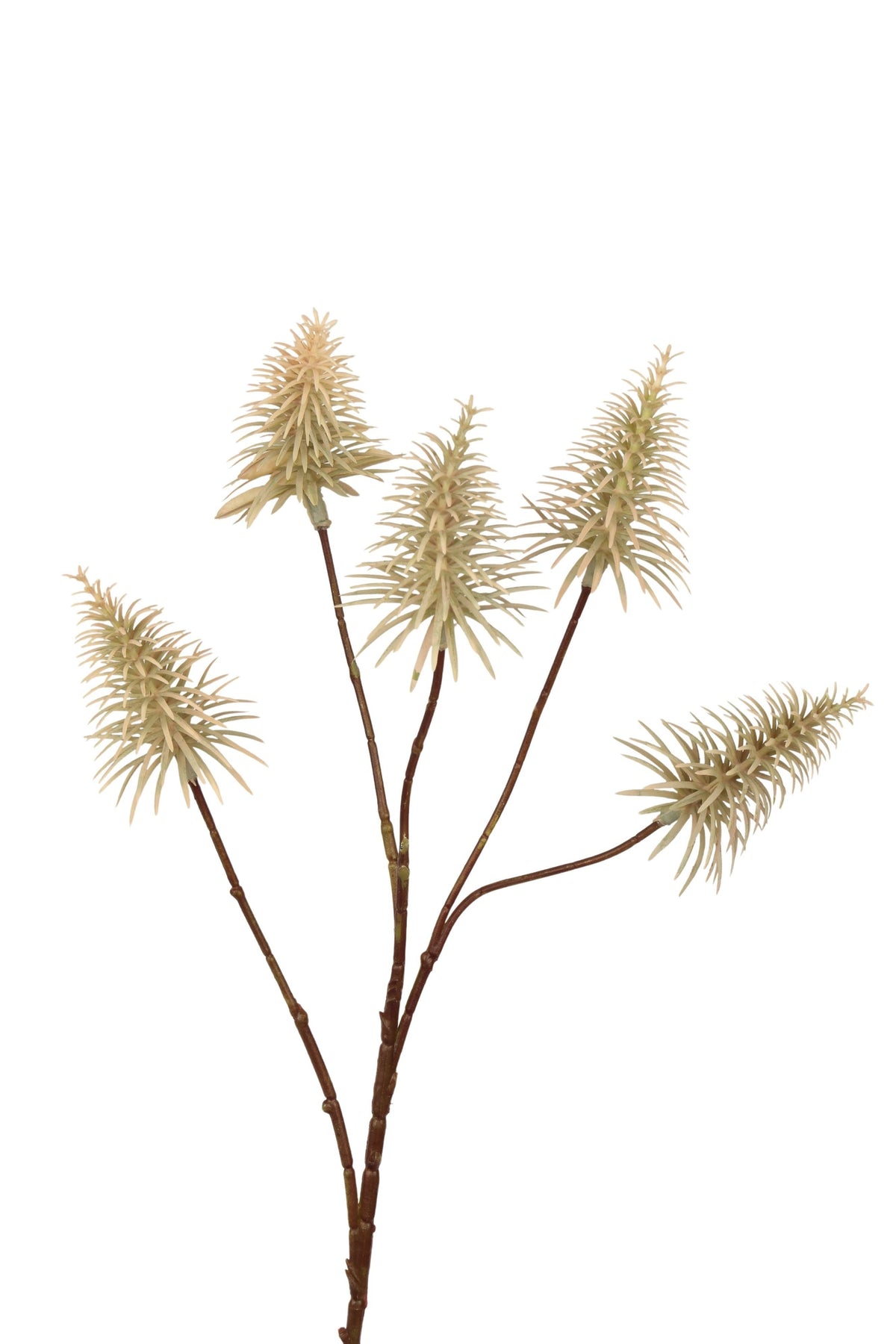 kerst boom x 5 takje 50 cm cream