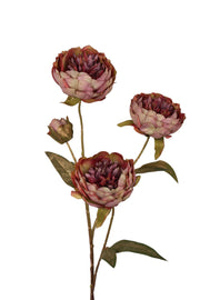 pioen x 3 73 cm burg met goud