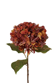 hortensia x 1 55 cm roest met goud