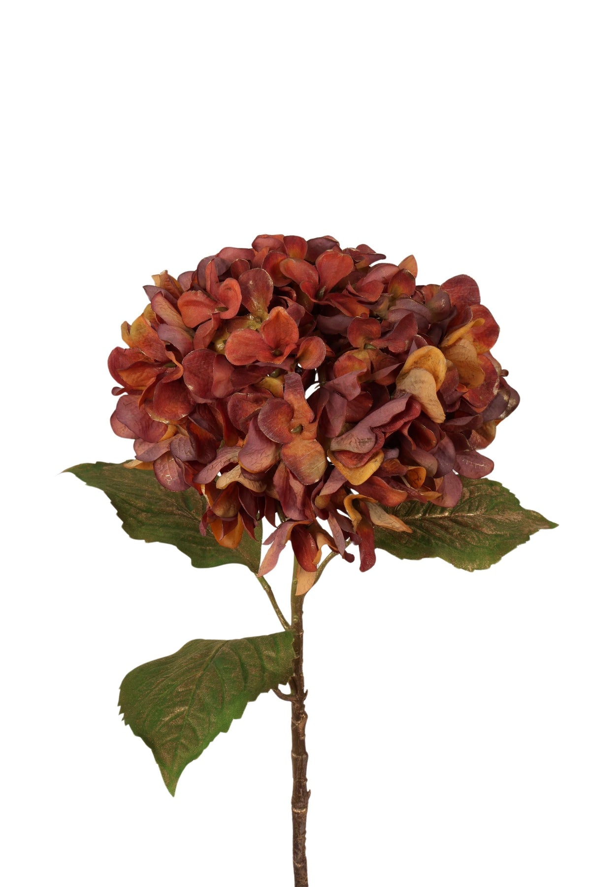 hortensia x 1 55 cm roest met goud