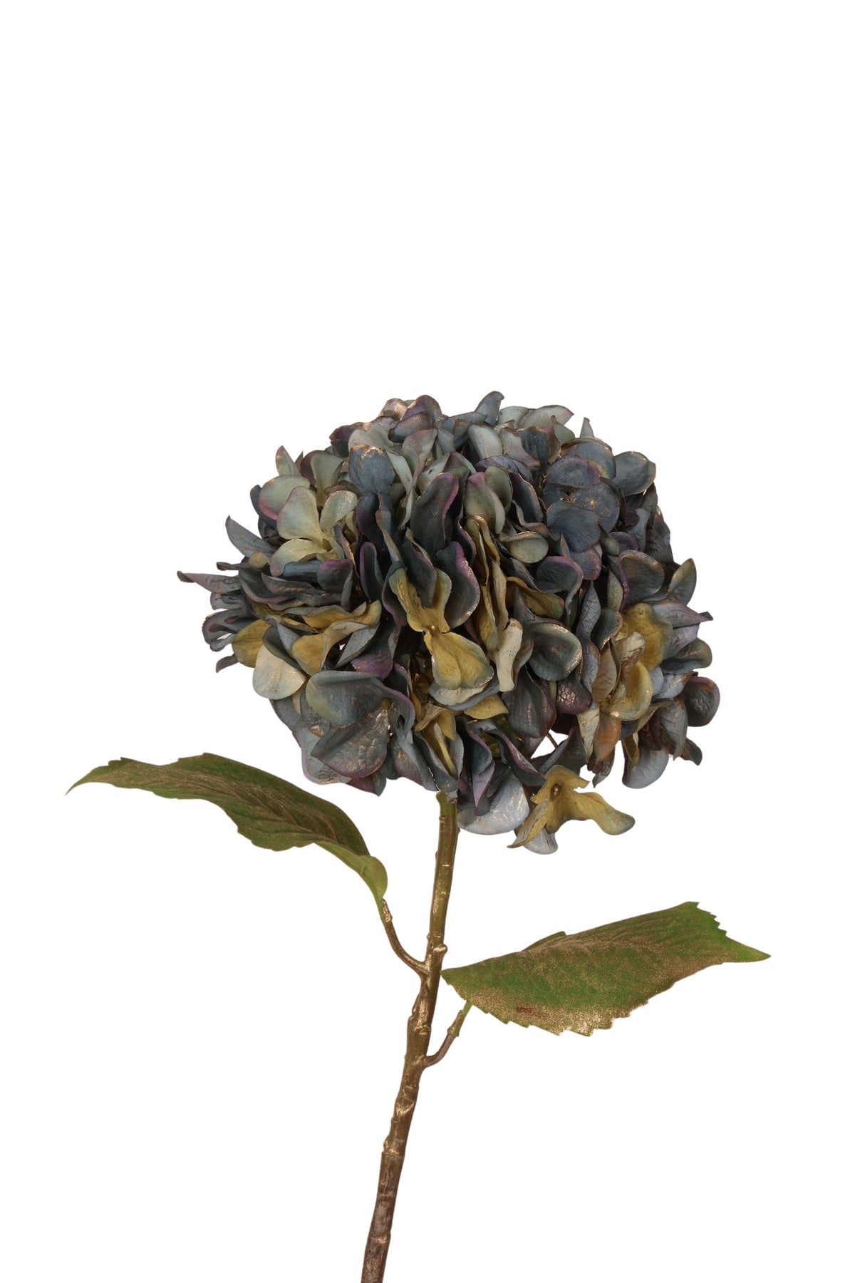 hortensia x 1 55 cm blauw met goud