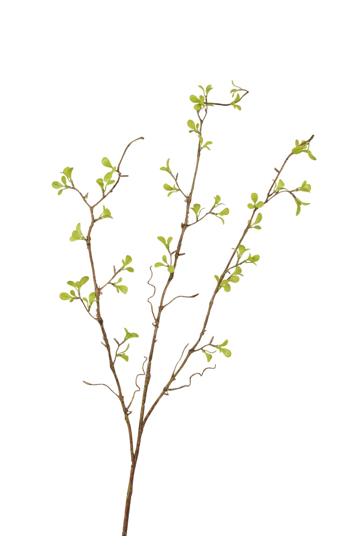 twijg spray klein met blad 90 cm groen
