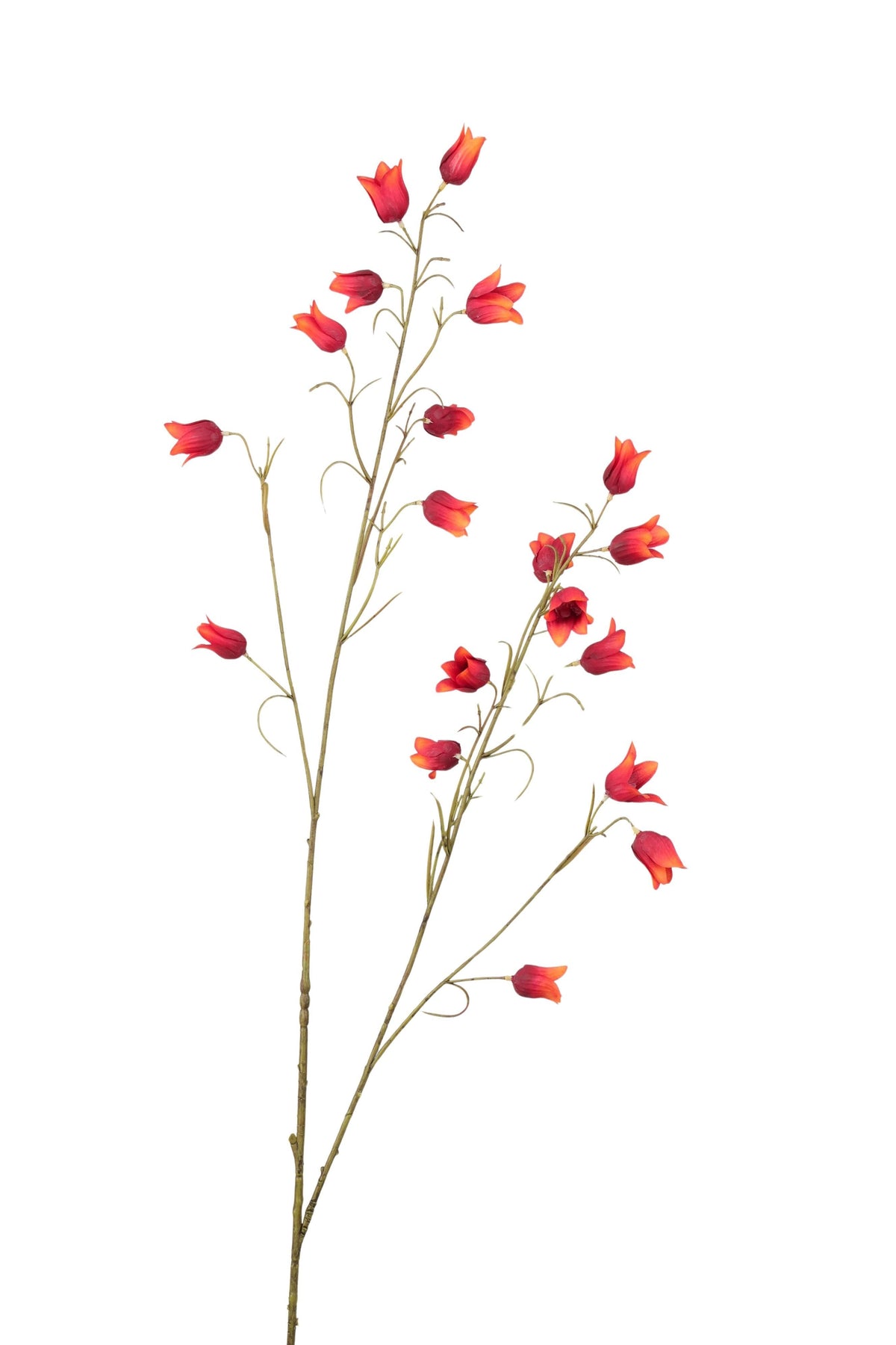 campanula spray 107 cm rood/or