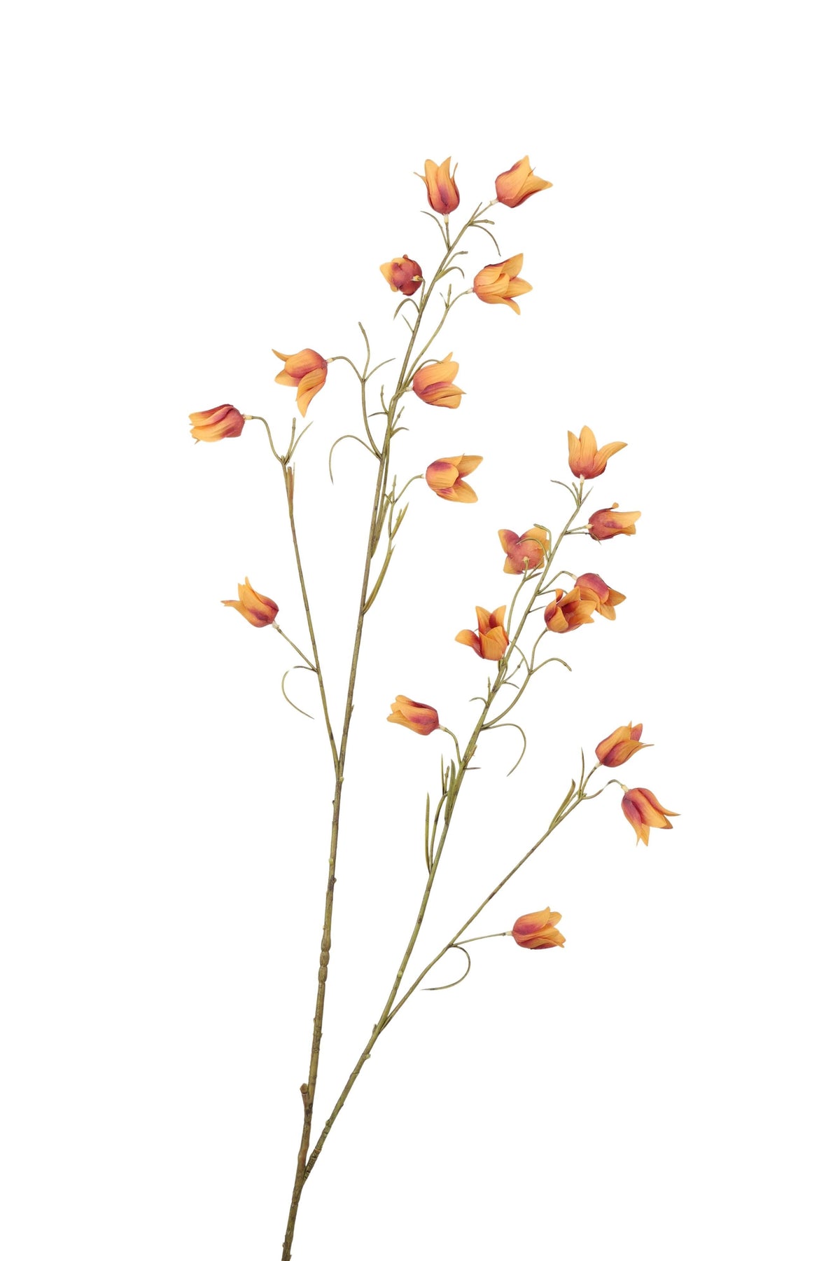 campanula spray 107 cm bruin