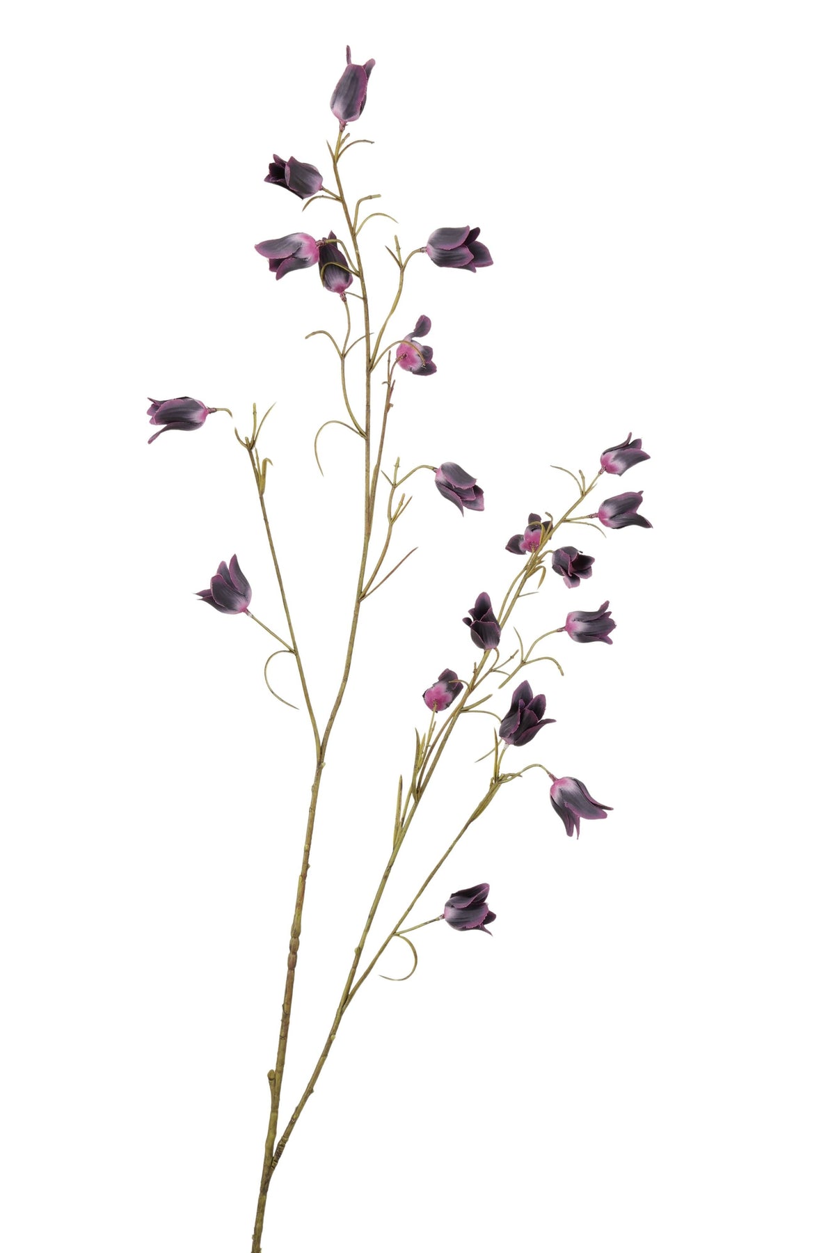 campanula spray 107 cm dk paars