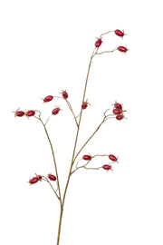 rozenbottel tak 90 cm bordeaux