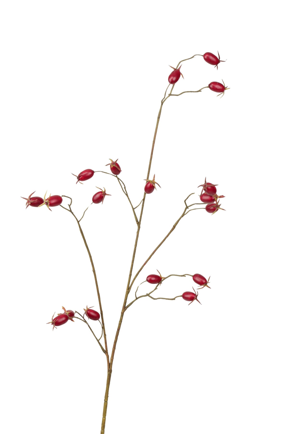 rozenbottel tak 90 cm bordeaux